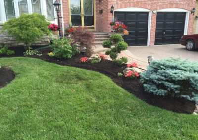 Garden Revitalization