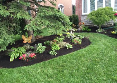 Garden Revitalization