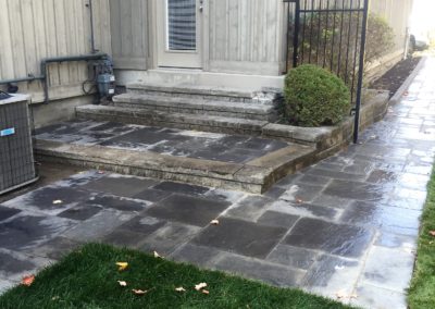 Walkway and Steps