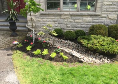 Garden Design and Planting