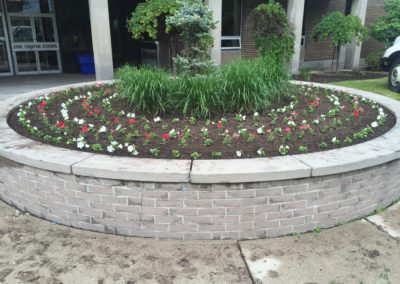 Flower Annual Planting