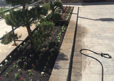Planting